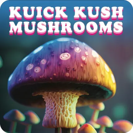 Kuick Kush